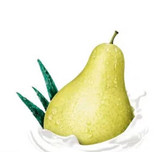 اسپری ضد تعریق گلابی داو مدل Go Fresh 250 میل